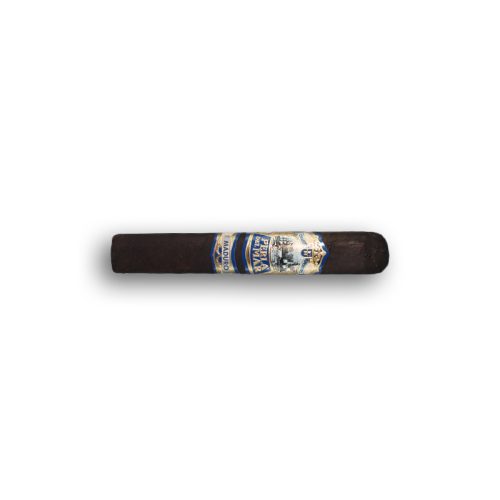 Perla del Mar Perla M Maduro (25)