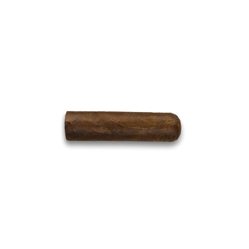 Farm Rolled Aged Short Robusto (20)