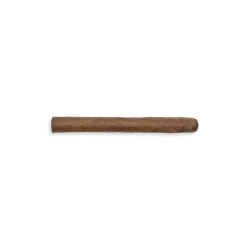 Farm Rolled Habano Lancero Fino (20)