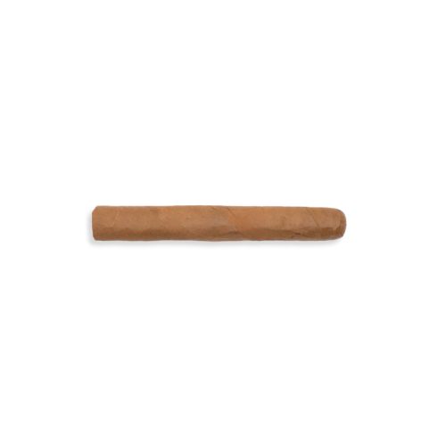 Fratelli del Sigaro Connecticut Robusto Amico (20)